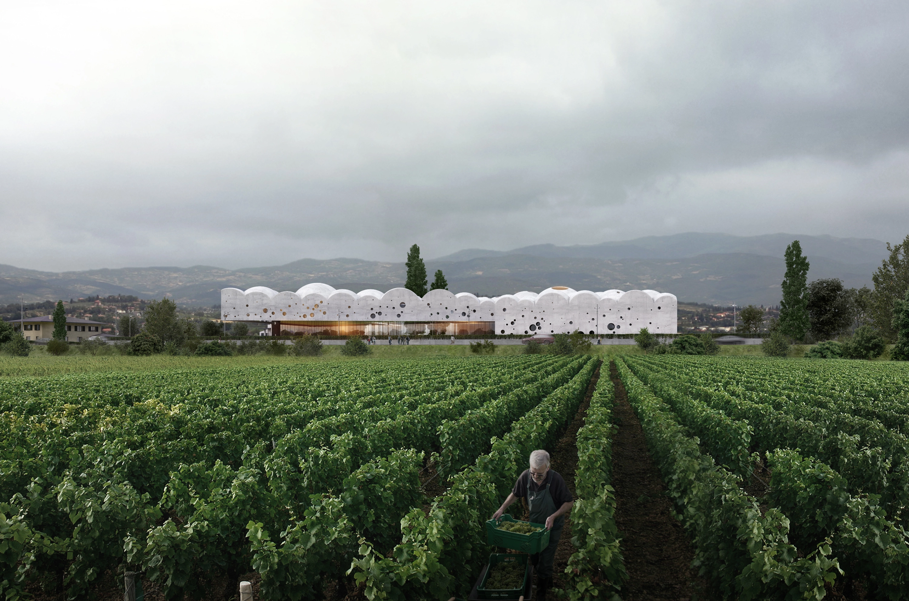 Wine culture centre set behind rows of grapevines.